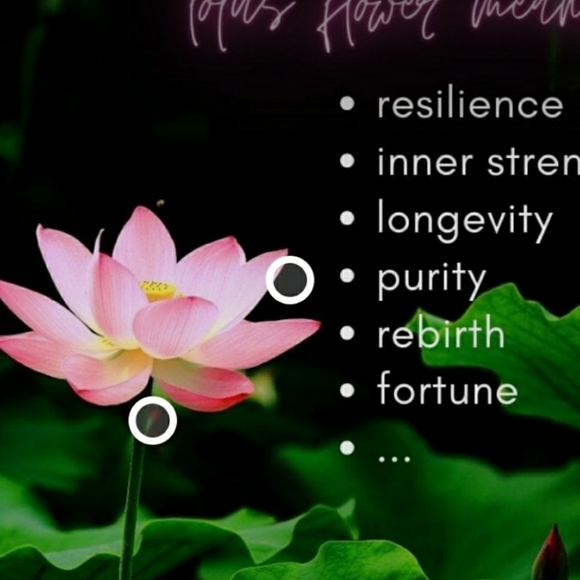 Elegant Lotus Bracelet - Picture 6 of 6